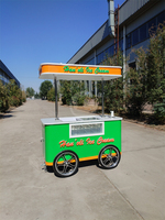 Mini camion de nourriture, chariot à glaces, chariot à glace pilée, chariot de vente de nourriture mobile, remorque de cuisine, kiosque