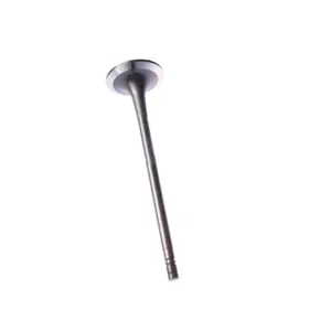 Exhaust Valve 37504-30200 for engine S12R-PTA