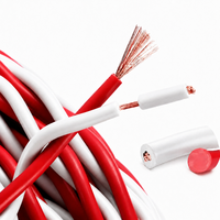 Cable de Alarma contra Incendios Personalizado RVS de 2 Núcleos, 0.75mm, 1.5mm, 2.5mm, Par Trenzado de Cobre Puro, Rojo y Azul, para Sistemas de Seguridad