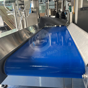 Machine d'emballage automatique ORME pour sachets préformés de chips de plantain, de banane et de pomme de terre, avec pesage intégré - Product Image 3