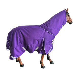 Fanfaree ผ้าห่มม้าอุ่นสีม่วงทนทานคอมโบคอคู่คอมโบสีม่วง - Product Image 4