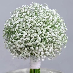 G180 Flores de Gypsophila Preservadas al por Mayor para Regalo de San Valentín, Flores Secas de Baby Breath, Baby Breath Preservado - Product Image 1