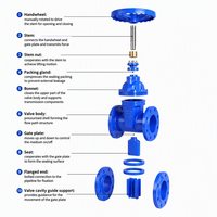 Vanne à opercule manuelle à joint souple en fonte ductile de haute qualité, PN16, conforme BS5163 et CE, pour l'alimentation en eau potable
