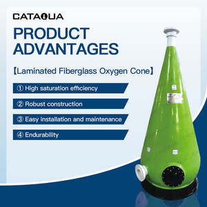 Cône d'aération personnalisé 60m³ à dissolution sous pression, buse d'aération pour aquarium, cône d'oxygénation pour aquaculture RAS - Product Image 3
