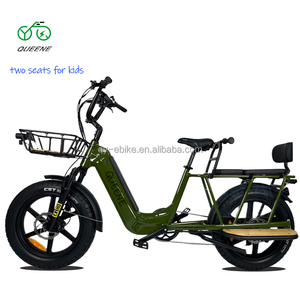 Bicicleta de Neumáticos Anchos de 20 Pulgadas para Mujeres, Familias y Desplazamientos Urbanos, 48V 20Ah 1000 - Product Image 2