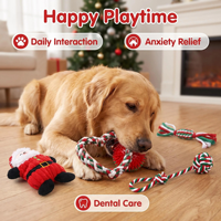 Lot de 5 jouets à mâcher pour chien de Noël : figurine peluche Père Noël, corde en coton, balle à picots en TPR, interactif pour le nettoyage des dents