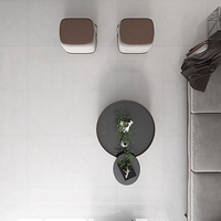 Carrelage en porcelaine aspect marbre gris perle 800x800mm antidérapant rustique moderne facile à nettoyer imperméable pour sol/mur salon