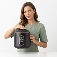 Mini-cuiseur à riz électrique en acier inoxydable 1-2 litres, faible consommation 220V, 2L pour dortoir et usage domestique, 1-2 personnes, cadeau, vente en gros