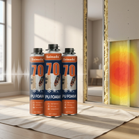 Isolation thermique, mousse PU en spray, mousse polyuréthane à haute expansion, insonorisation, économie d'énergie, construction de bâtiments