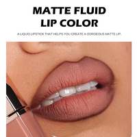 Gloss à lèvres mat velouté, longue tenue, anti-transfert, non desséchant, rouge à lèvres liquide pour femmes, étiquette privée personnalisée