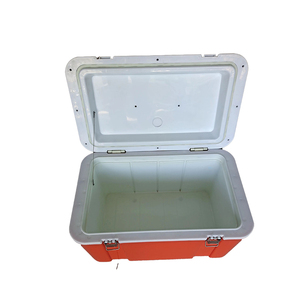 33L Mini Size Portable Cooler Box Picnic Beverage And Food Hard Ice Chest
