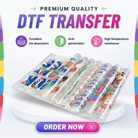 Impression par transfert thermique DTF (Direct to Film) pour accessoires de sérigraphie DIY pour vêtements personnalisés ODM
