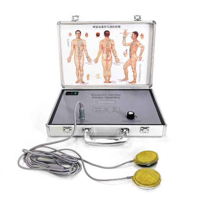 Equipo De Bioenergia Instrumento De Fisioterapia Maquina De Terapia De Masaje Meridiano Dds Terapia De Masaje Bioelectrico