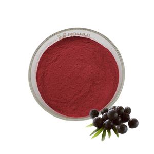Acai Berry Powder Pure Liofilizado Acai Berry Fruit Natural Acai Berry Powder Japonés Japón - Product Image 1
