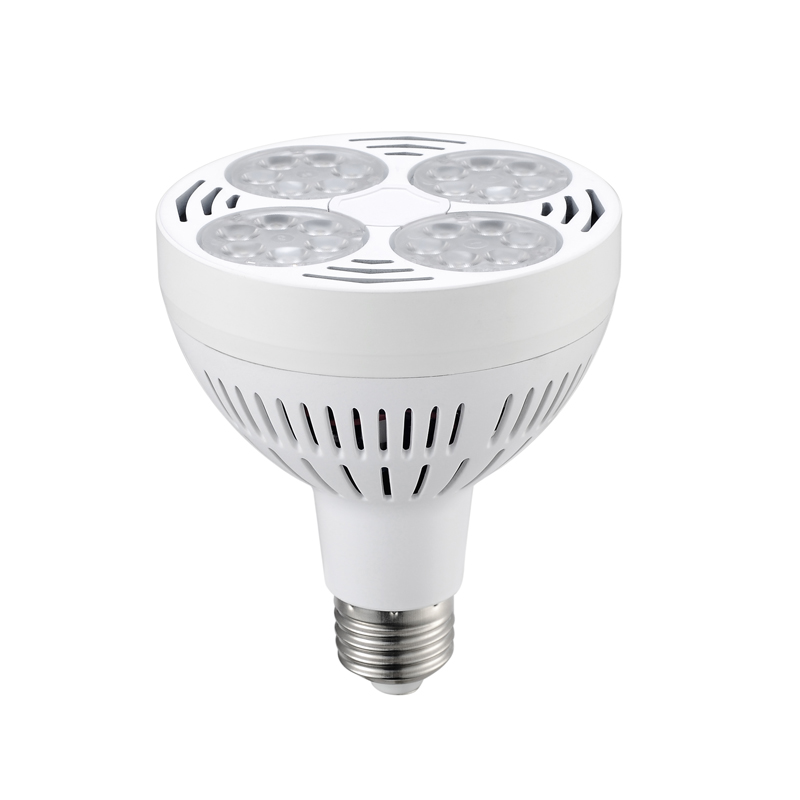 Ampoule PAR30 Blanche
