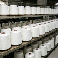 OEM Factory Price 21S Ring Spun Twist 100% Polyester Yarn High Tenacity White Raw Material Textile Weaving Knitted Products