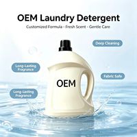 OEM Antibakteri Beraroma Melati Air Dingin Portabel untuk Cuci Pakaian Cair untuk Pakaian Formula Ramah Lingkungan Hemat Energi