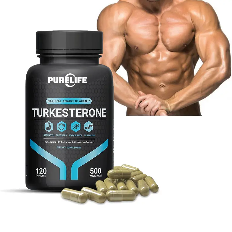 Venta caliente puro natural orgánico muestra gratis Turkesterone Ajuga Turkestanica extracto en polvo