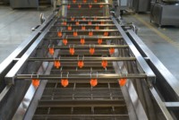 Commerciële Automatische Fruit Gember Mango Appel Reinigingsmachine Luchtbel Groente Wasmachine Bubble Wasmachine