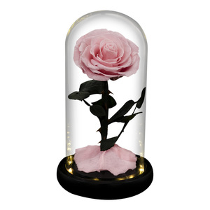 2025yearsValentine's Day Gifts Led Light Forever Eternal Natural Roses Préservées Real Never Withered Flowers For Parbest Quality - Product Image 2