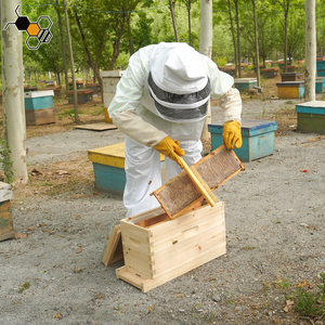 Ruche à 5 cadres pour abeilles, boîtes à noyaux complètes pour Langstroth - Product Image 6