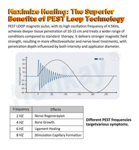 Equine PEMF LOOP Thérapie électromagnétique professionnelle Traitement sûr et efficace réduit la douleur Gonflement des douleurs pour les chevaux - Product Image 5
