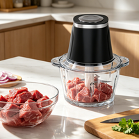 Penggiling Makanan 300W Model Terbaru dengan Wadah Kaca 2L untuk Penggiling Daging Peralatan Rumah Tangga