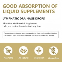 Gouttes liquides de drainage lymphatique à marque OEM, suppléments à base de plantes, échinacée pour la détoxification et le soutien lymphatique, emballage en bouteille