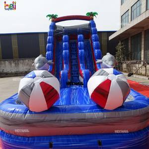 Toboggan aquatique gonflable commercial en PVC bleu marbré de 17 pieds de haut, à double piste avec balles, thème dauphin, pour adultes, idéal pour les <span class=keywords><strong>vacances</strong></span> - Product Image 5