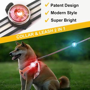 Lumière LED pour chien personnalisée avec logo imprimé, étanche IPX7, rechargeable, pour collier et harnais, lumière de sécurité LED pour chien pour la marche nocturne - Product Image 2