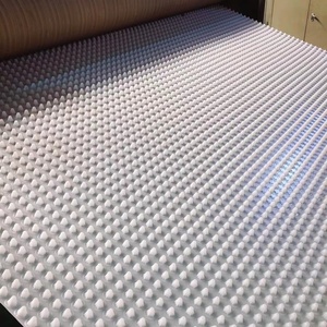 プラスチックHDPE排水層ボードグリーンルーフシステムHDPE排水シートジオテキスタイル付きサブグレード保護 - Product Image 2