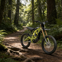 Prêt à être expédié : Vélo tout-terrain électrique Sur Ron Light Bee à grande vitesse, moto électrique Surron Light Bee X LBX