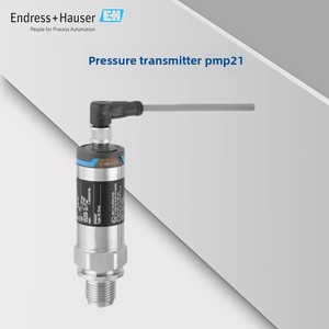 E+H Endress+Hauser PMP21 PMP21-AA1V2KJWJJ +Z1 ผลิตในประเทศจีนแผ่นดินใหญ่ - Product Image 3