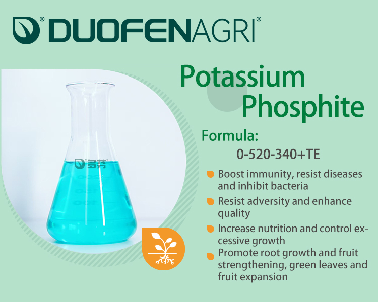 Wholesale Organic Humic Acid Liquid Fertilizer for Hydroponics image 3