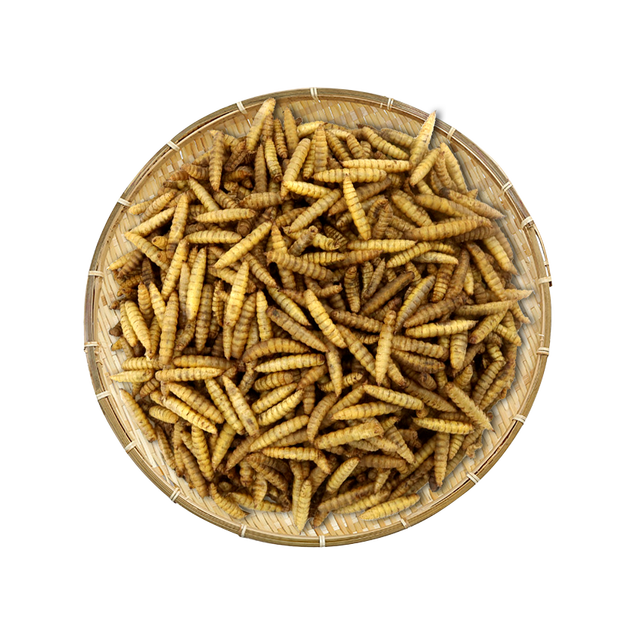 Dried Black Soldier Fly Larvae BSF Dry Maggot BSFL Animal Feed Additives
