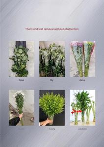 Machine électrique professionnelle pour enlever les épines de roses – Idéale pour les fleuristes – Coupe les tiges et élimine les feuilles – Prix de gros - Product Image 2
