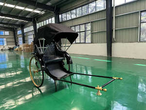 Carrito Turístico Clásico Vintage Tipo Rickshaw de Gran Capacidad con Batería, para Transporte de Huéspedes de Hotel - Product Image 6