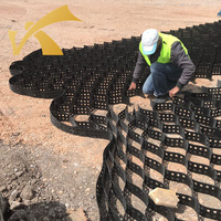 Système de confinement cellulaire en géocell HDPE de 100 mm de profondeur