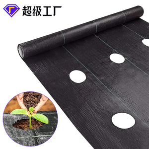 Perforated Black Weed Control Fabric 1000 Breathable Agricultural Orchard Use - Product Image 4