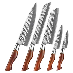 Di alta qualità 5 pezzi 73 strati damasco polvere acciaio cucina cucina coltello Set palissandro coltelli affilati palissandro