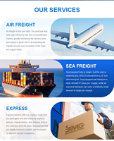 Agent maritime professionnel Chine, service 3PL, expédition vers destinations mondiales, coût réduit, transit en 25-30 jours, assurance LCL+Express