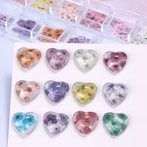12 Rejillas de Adornos de Uñas con Flores 3D Coloridas, Ultrafinas, de Resina y Pulpa de Madera, Pequeñas Margaritas, Accesorios de Decoración para Manicura DIY - Product Image 5