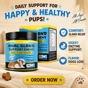 Anal Cland Support Chews pour chiens, 150 unités, saveur bœuf, fibres de citrouille, probiotiques, enzymes digestives, pour la santé intestinale et la régularité - Product Image 2