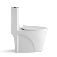 WC monobloc en céramique de luxe minimaliste avec finition gris anthracite mat et chasse d'eau à jet siphonique