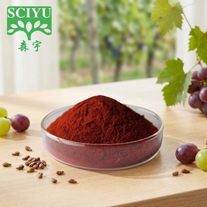 Poudre d'extrait <span class=keywords><strong>de</strong></span> pépins <span class=keywords><strong>de</strong></span> raisin 95% OPC pour ingrédients alimentaires Extrait <span class=keywords><strong>de</strong></span> curcuma - Product Image 3