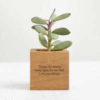 Support de pot de fleurs carré en bois de bambou naturel chromé moderne pour plantes, marque Taiwei, facile à utiliser, pour la maison, le bureau et le jardin