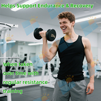Agelwell Votre logo Échantillon gratuit Matcha Créatine Poudre Complément énergétique pour la musculation Sans avis Support échantillon