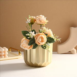 Macetas de Plástico Doradas de Varios Tamaños, Decoración de Hogar de Lujo, Macetas Doradas para Flores, Cactus y Suculentas, Decoración de Balcón - Product Image 4