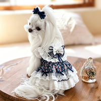 Robe d'été princesse style Lolita mignonne, vêtements pour chien, tenue de luxe respirante en maille pour chat et chiot, vêtements pour animaux de compagnie