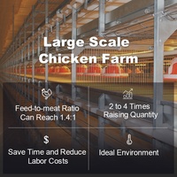 Système de contrôle climatique pour volailles, structure en acier pour poulailler, alimentation et abreuvement automatiques, cages à poulets de chair de type H à 3 niveaux, équipement